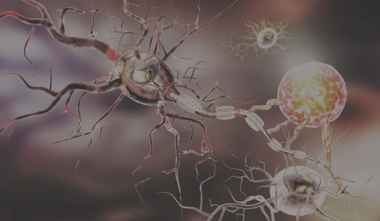 Stem cells are used in the treatment of immune disorders